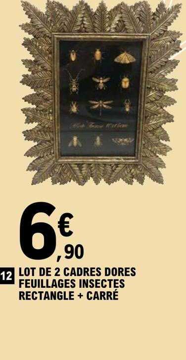 lot de 2 cadres dorés feuillages insectes rectangle + carré