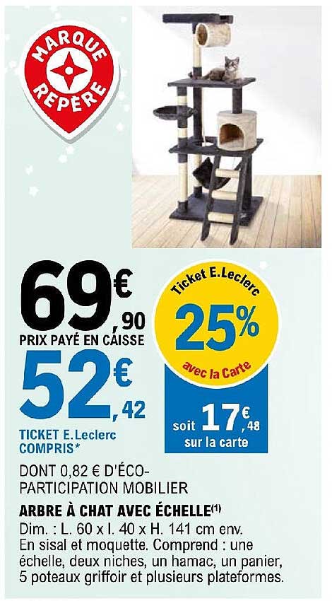 Arbre à Chat Avec échelle