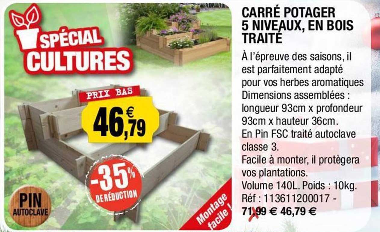carré potager 5 niveaux en bois traite