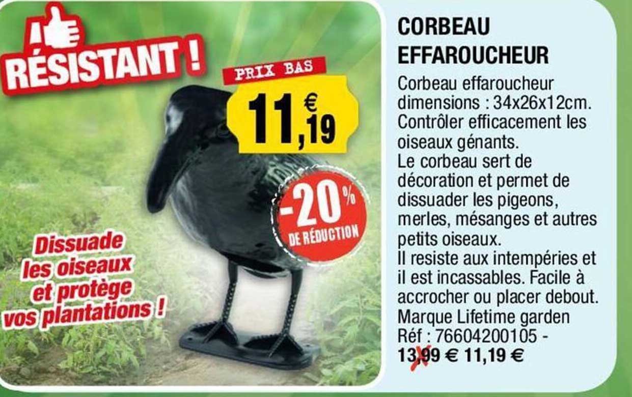 corbeau effaroucheur
