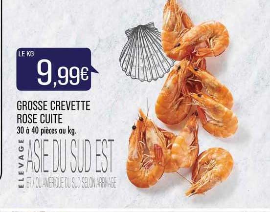 grosse crevette rose cuite