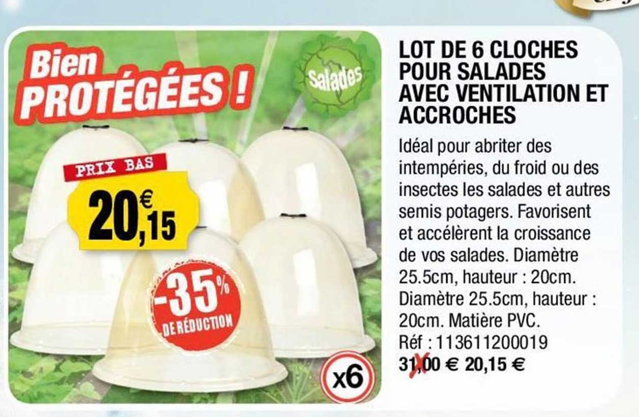 lot de 6 cloches pour salades avec ventilation et accroches