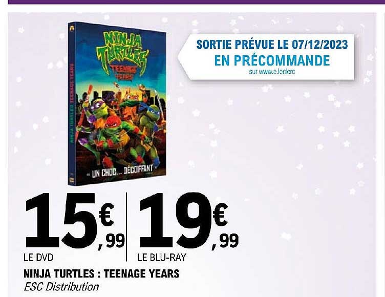 nija turtles : teenage years