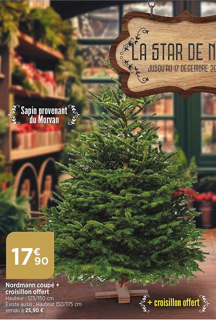 nordmann coupé + croisillon offert