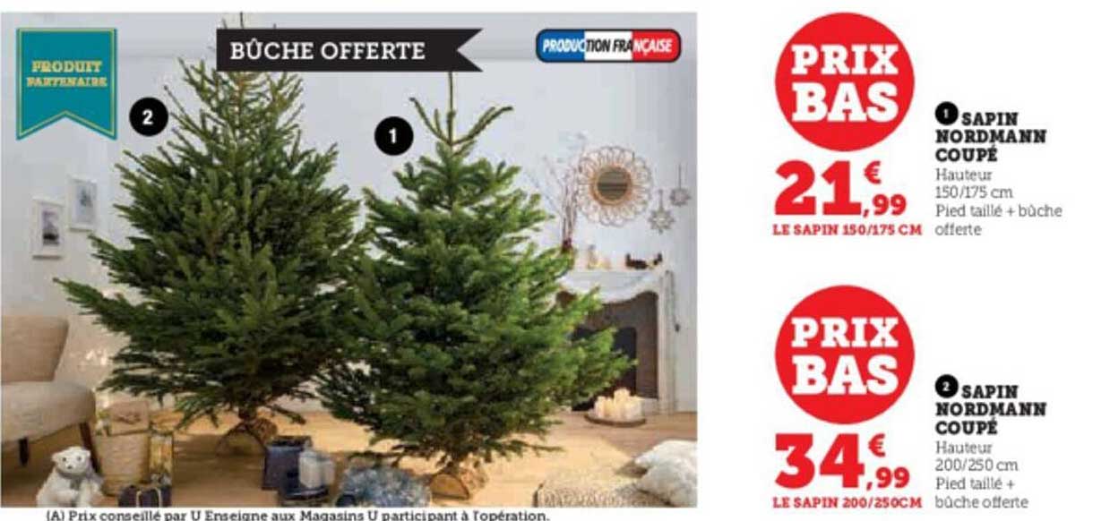 sapin nordmann coupé