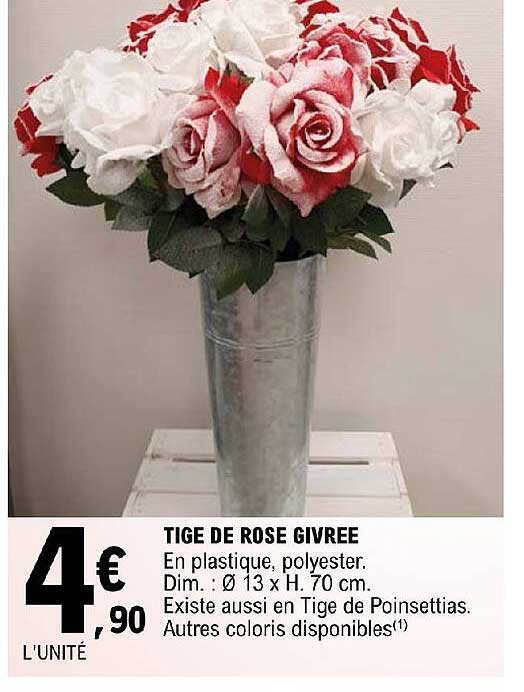 Tige De Rose Givrée