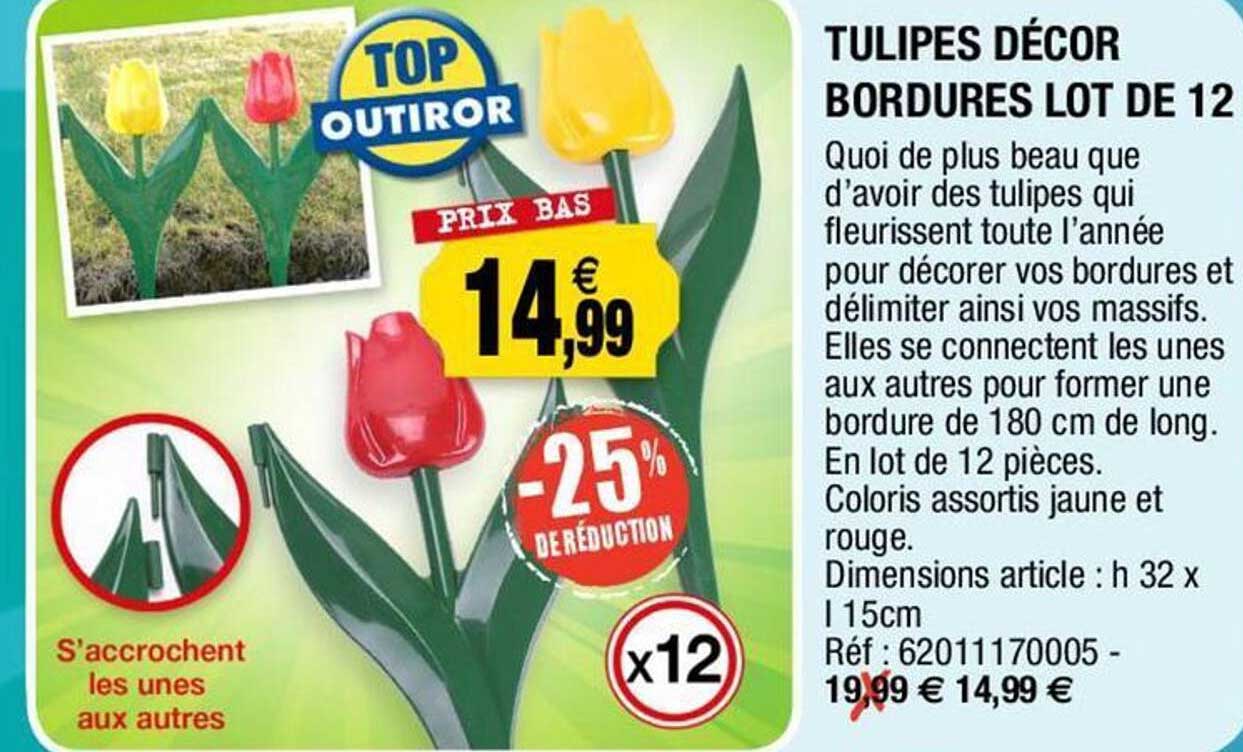 tulipes décor bordures lot de 12