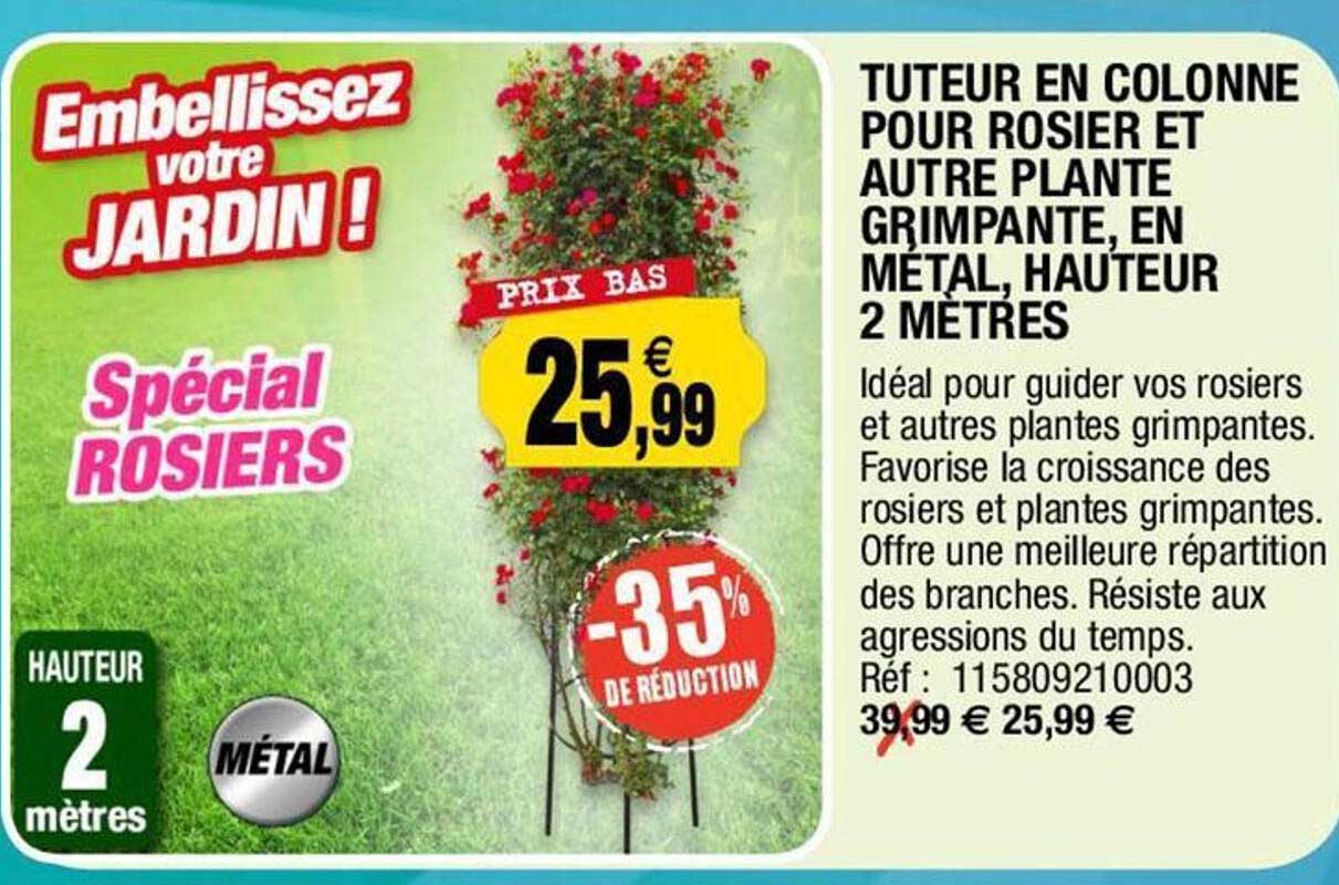tuteur en colonne pour rosier et autre plante grimpante en métal hauteur 2 mètres