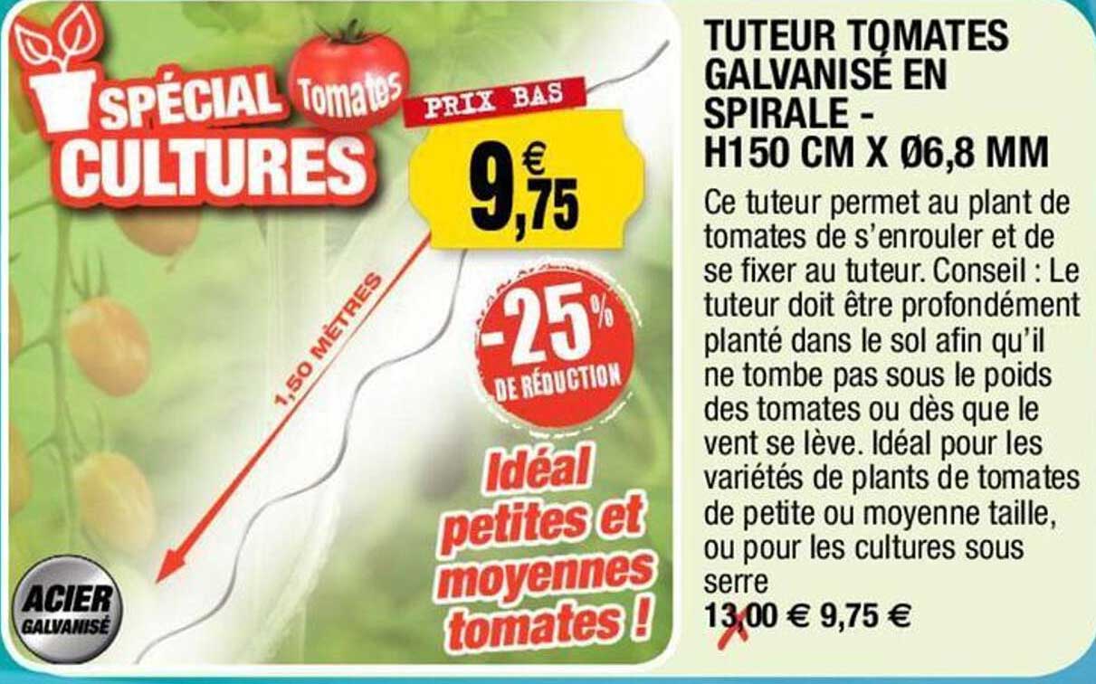 tuteur tomates galvanisé en spirale - h150 cm x ø6.8 mm