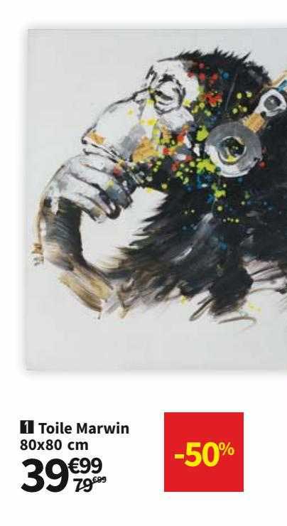toile marwin