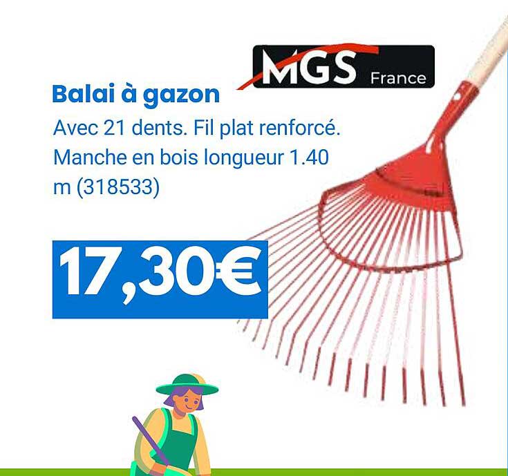 Balai à Gazon Mgs France