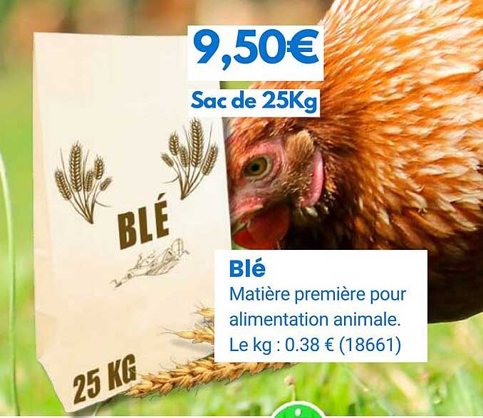 Blé