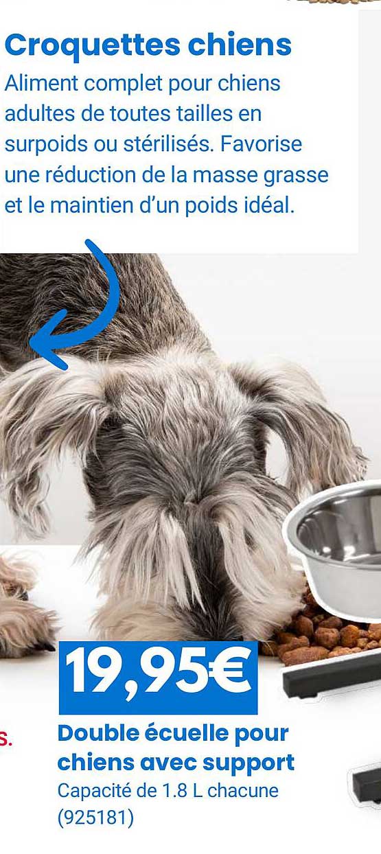 croquettes chien double écuelle pour chien avec support