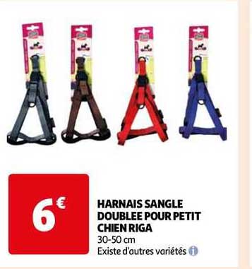 harnais sangle doublée pour petit chien riga