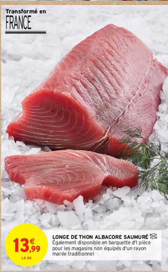 Longe De Thon Albacore Saumuré