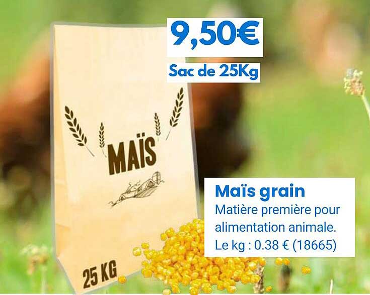 Maïs Grain