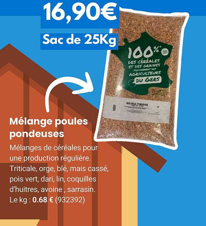 mélange poules pondeuses