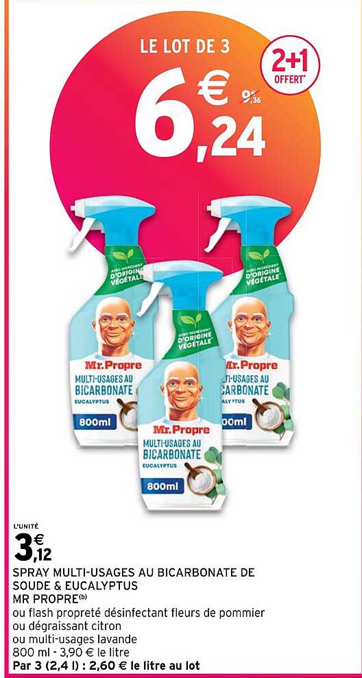 spray multi-usages au bicarbonate de soude & eucalyptus mr propre