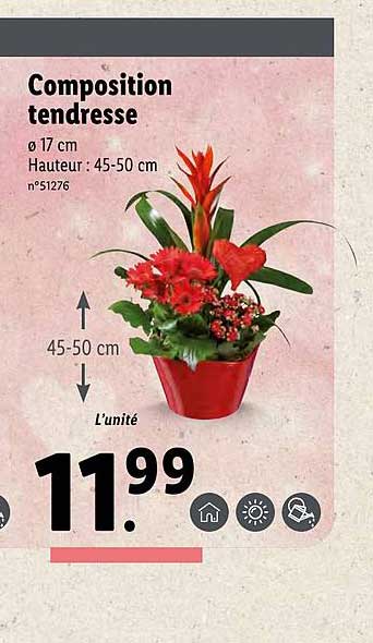 composition tendresse