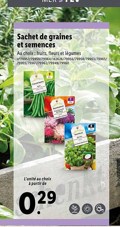 Sachet De Graines Et Semences