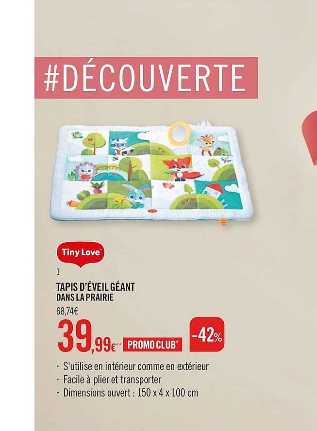 tapis d'éveil géant dans la prairie tiny love