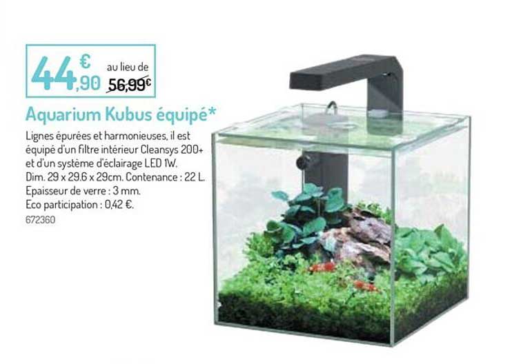 aquarium kubus équipé