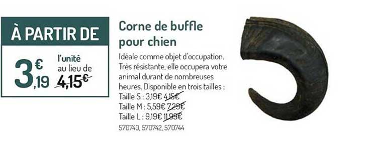 corne de buffle pour chien