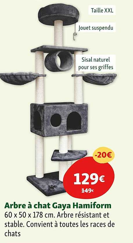 arbe a chat gaya hamiform