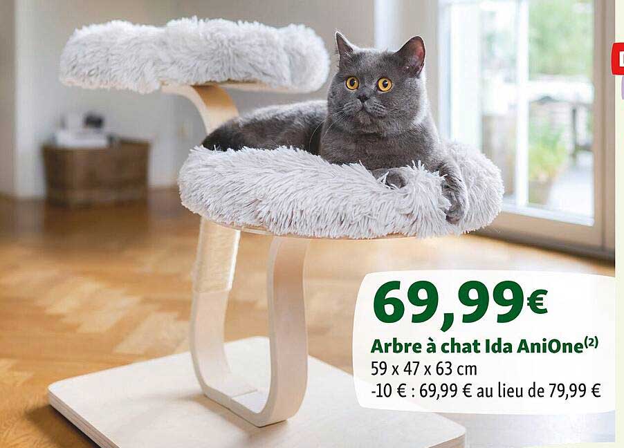 arbe a chat ida anione