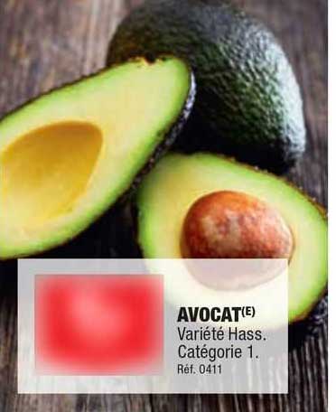 Avocat