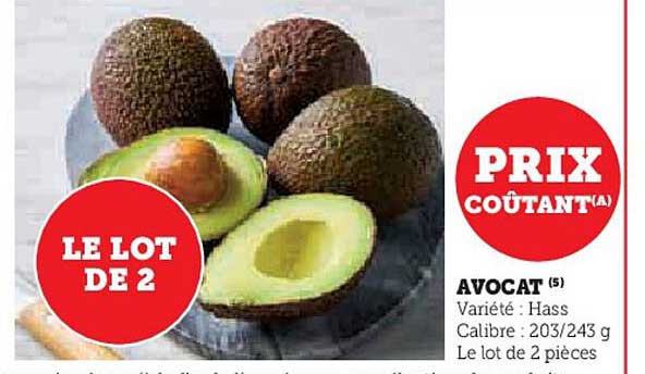 Avocat