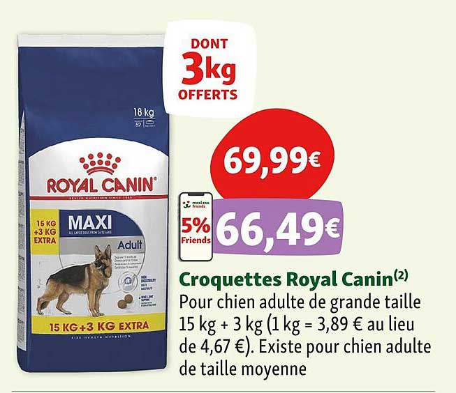 croquettes royal canin