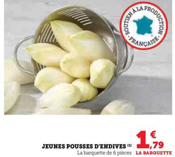 jeunes pousses d'endives