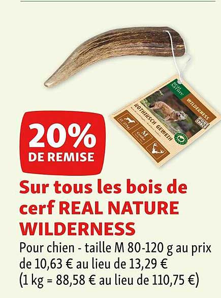 les bois de cerf real nature wilderness