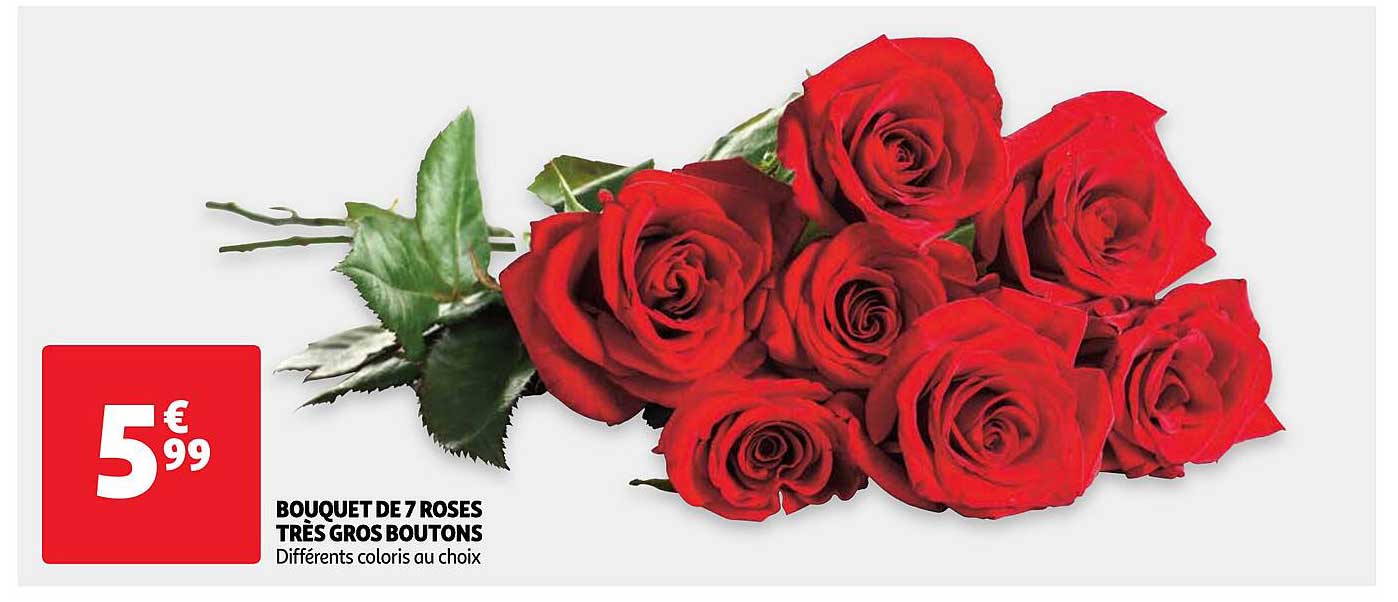 bouquet de 7 roses très gros boutons
