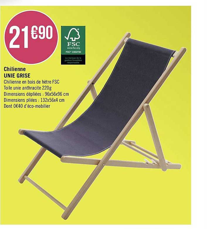 Chilienne Unie Grise