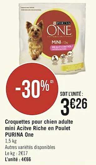 croquettes pour chien adulte mini active riche en poulet purina one