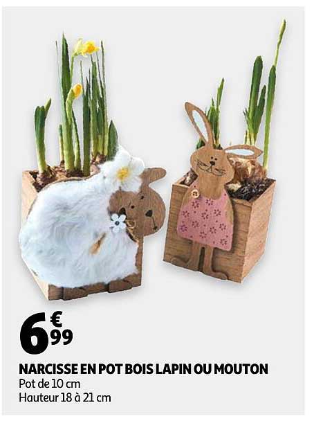 narcisse en pot bois lapin ou mouton