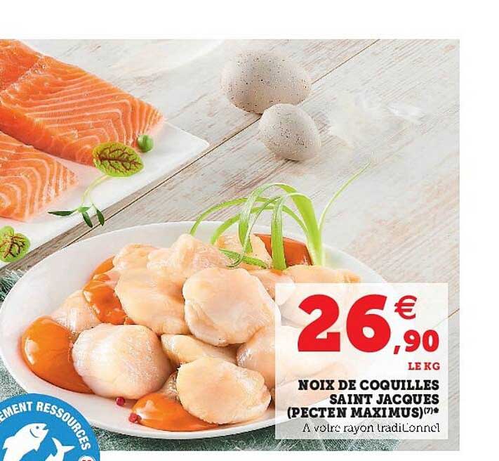 noix de coquilles saint jacques (pecten maximus)