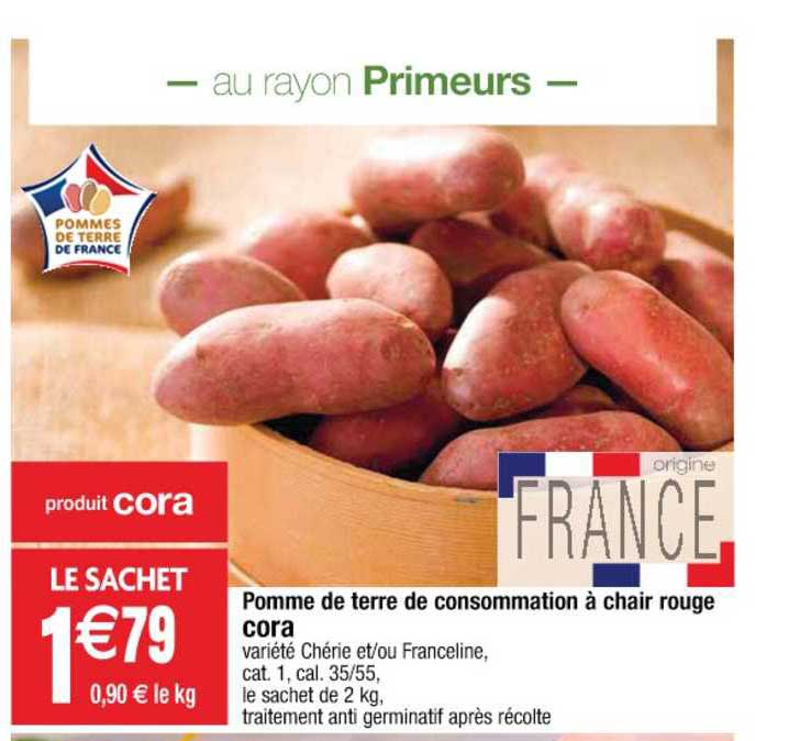 Pomme De Terre De Consommation à Chair Rouge Cora