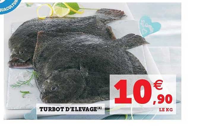 turbot d'élevage