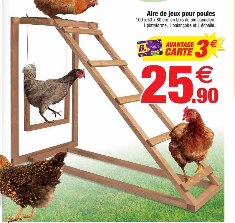 aire de jeux pour poules