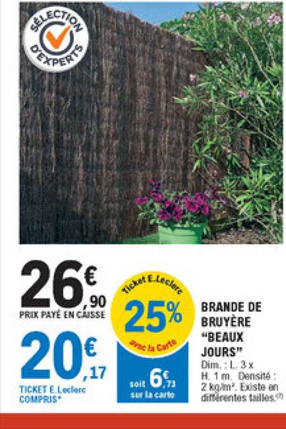 brande bruyère "beaux jours"