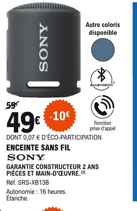 Enceinte Sans Fil Sony