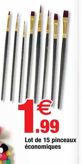 lot de 15 pinceaux économiques