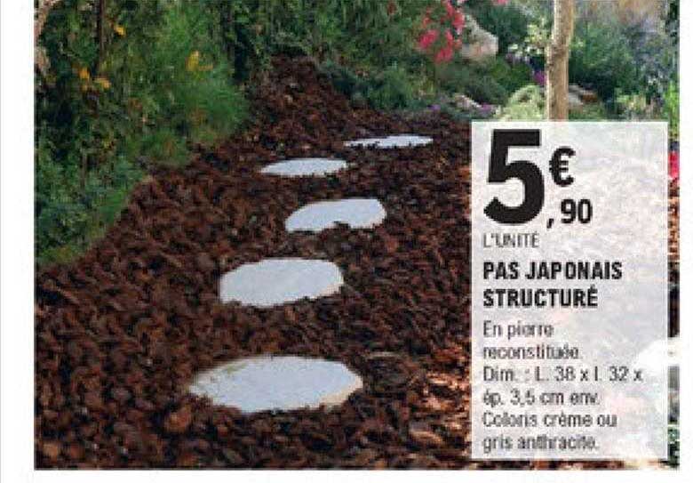 pas japonais structuré