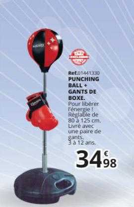 punching ball + gants de boxe