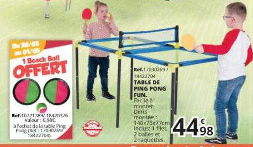 Table De Ping Pong Fun