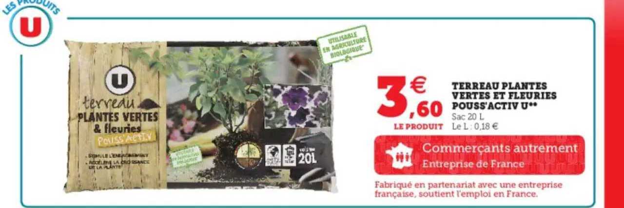 terreaau plantes vertes et fleuries pouss'activ
