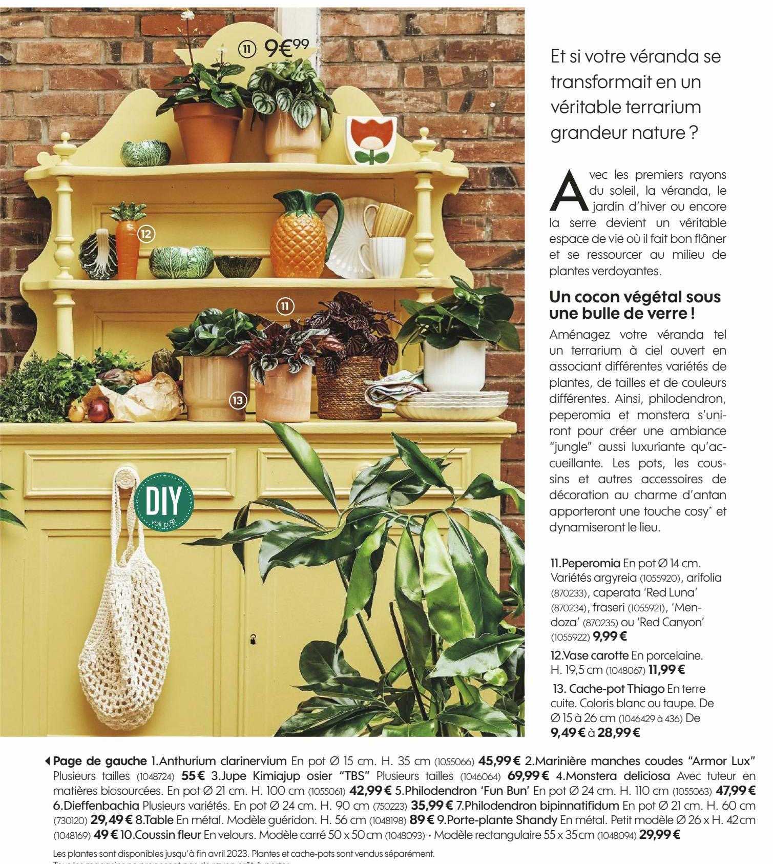 peperomia, vase carotte, cache-pot thiago, anthurium clarinervium, marinière manche coudes "armor lux", jupe kimiajup osier "tbs", monstera deliciosa, philodendron "fun bun", dieffenbachia